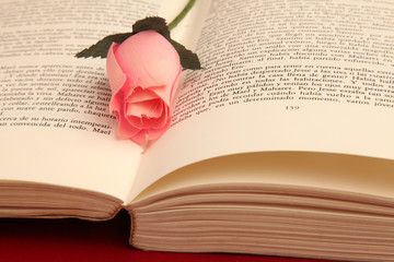 sant jordi