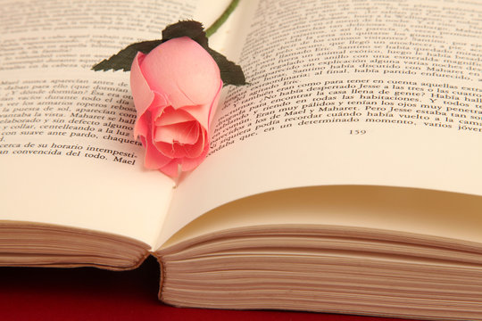sant jordi