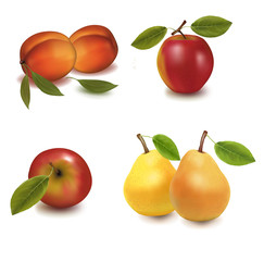 ector illustration. Two apples, two peaches and two pears.