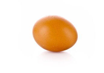 Single egg isolated on white