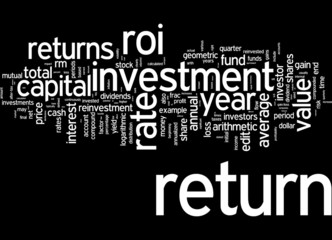 Return on investment (ROI)