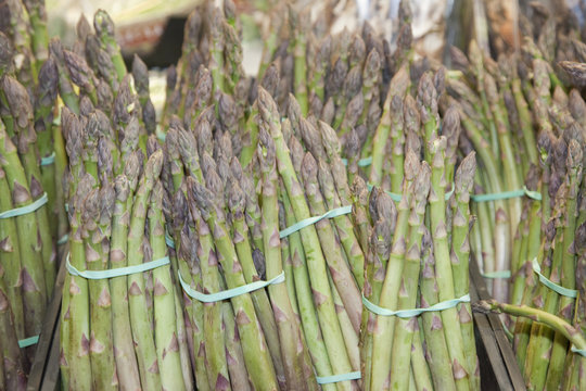 esparragos trigueros