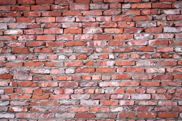 brick wall