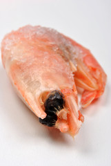 eine tiefgekühlte Nordseekrabbe