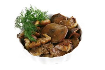 mushrooms on ceramic plates isolated