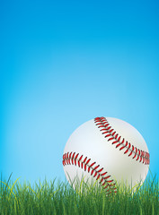 Baseball Ball