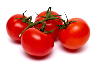 Tomatoes on a branch