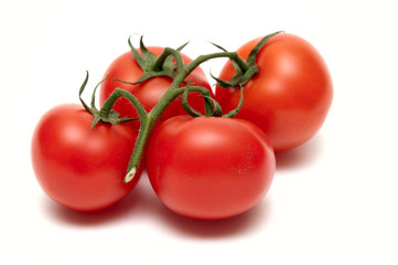 Tomatoes on a branch
