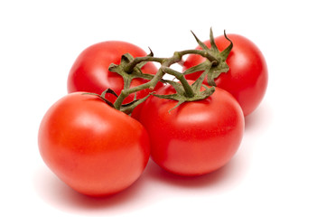 Tomatoes on a branch