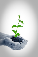 Taking care of new development or the environment