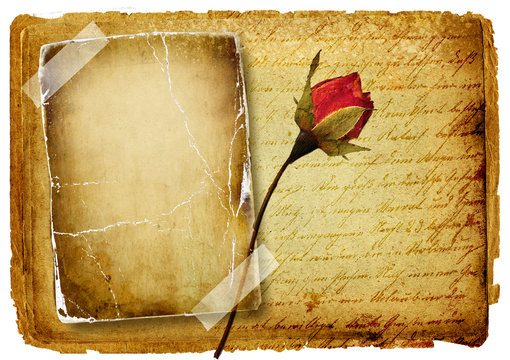 vintage love letter - blank page and rose