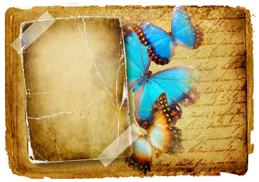 vintage background with blank frame and butterflies