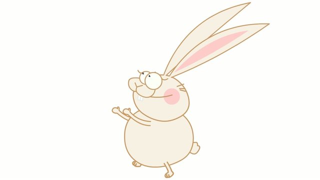 coniglio che corre a loop