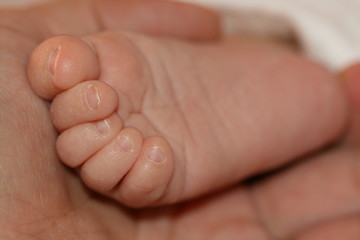 pied b&eacute;b&eacute;