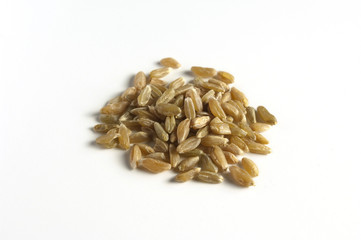 Obraz premium unripe spelt grain (Grünkern)