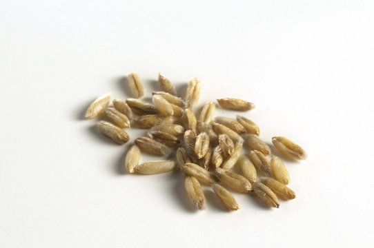 Peeled barley (Gerste, geschält)