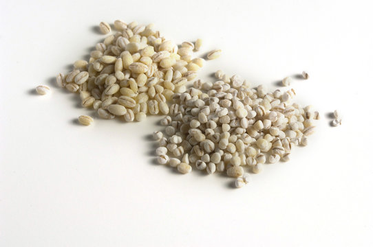 pearl  barley  (Perlgraupen)