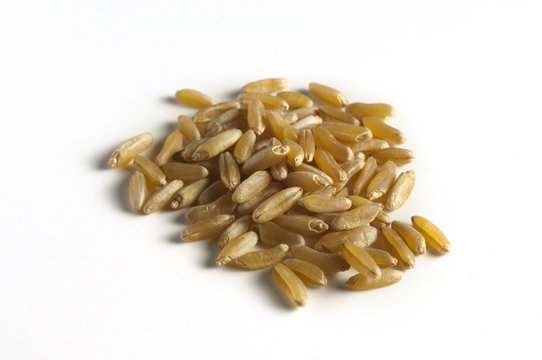 wheat (Weizensorte Kamut)