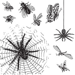antique insects engravings (vector)
