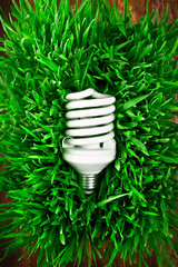 Fluorescent lightbulb on grass