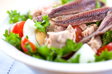 Salad with tuna and anchovy © B.G. Photography