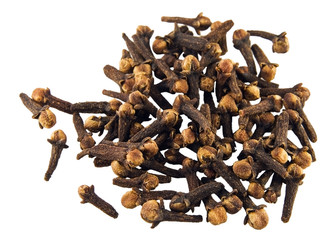 Clove on white background