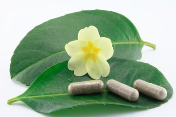 blatt mit blüte und tabletten