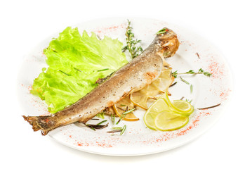 fish