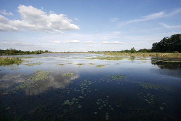 Lake in the French region of cher