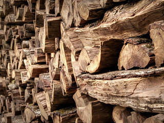 Troncos de madera, leña