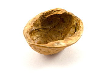 Nussschale