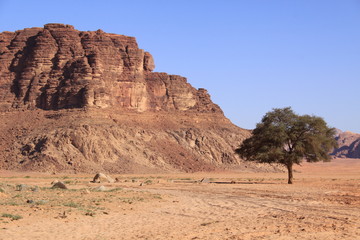 Desierto de Wadi Rum