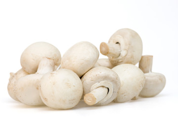 Mushrooms on white background