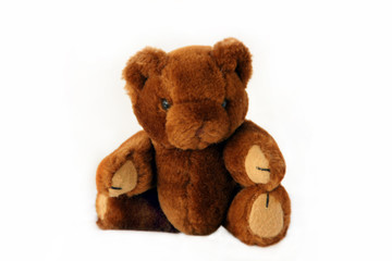 Fuzzy Brown Teddy Bear