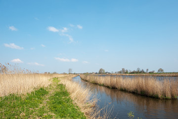 Dutch river