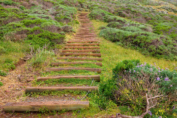 Park Stairs in Marin Headlands, California.