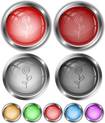 Abstract rose. Vector internet buttons.