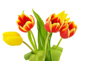 Bunch of beautiful spring tulip flowers