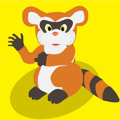 raccoon