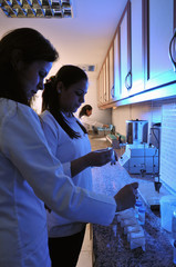 Two pathologist working at pathology lab.