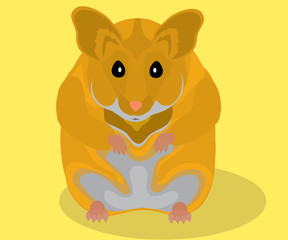 hamster