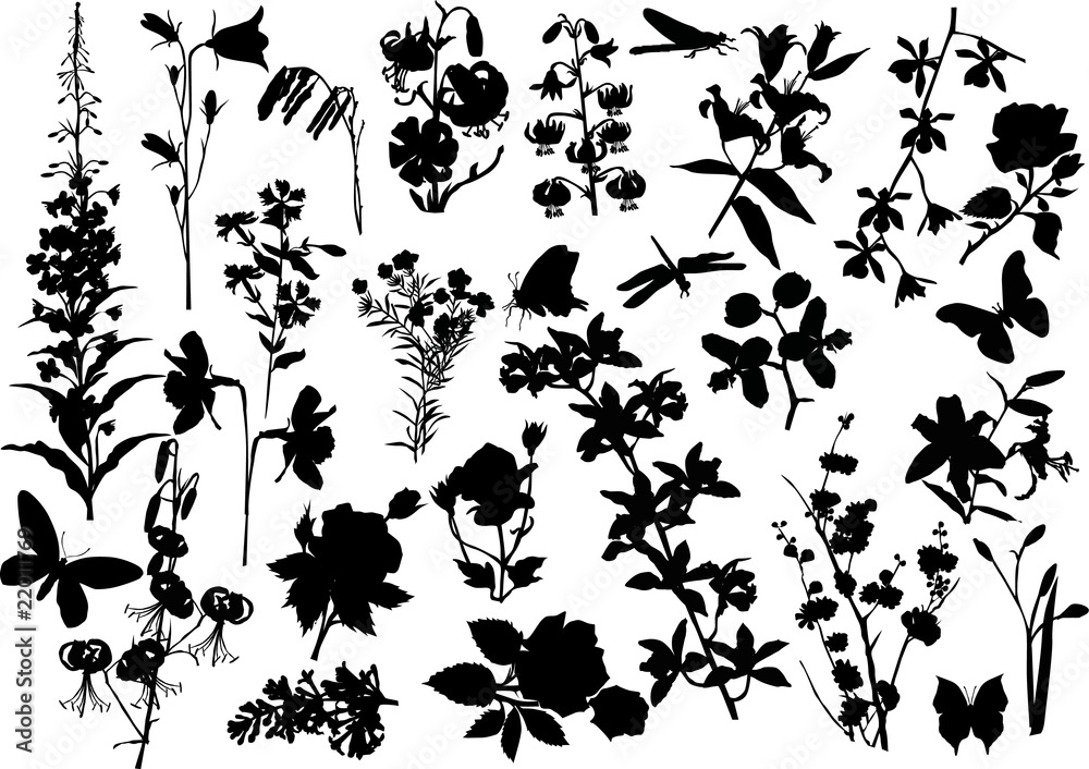 Canvas Prints large set of flower silhouettes