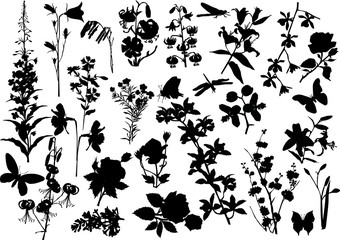 large set of flower silhouettes