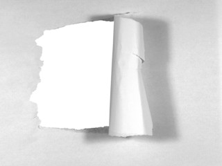 paperout_wh02
