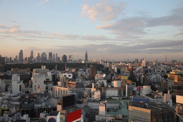 Illuminated Tokyo City in Japan at sunset from high above