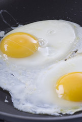 Two Fried Eggs