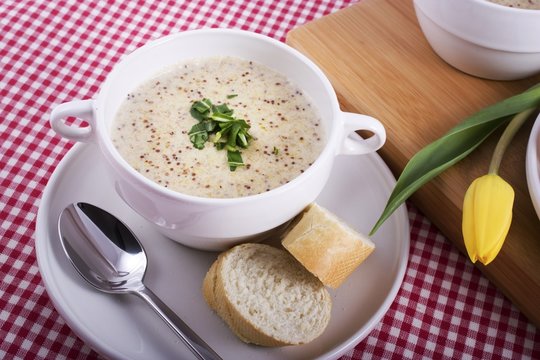Dutch Mustard Soup and Yellow Tulip