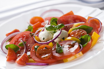 Salad