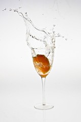 Splash