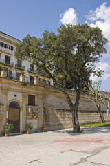 Naklejka premium albero e palazzo